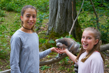 Kids having fun with ring tailed lemurs animals © lunamarina