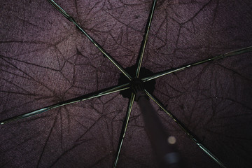 Close Up of Umbrella