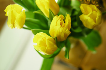 Flower bouquet of yellow tulips. Shooting from the top. Spring mood.