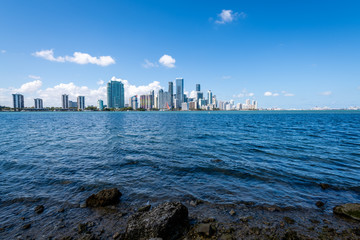 Miami Cityscape