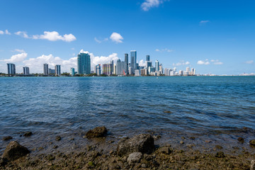 The Miami Skyline