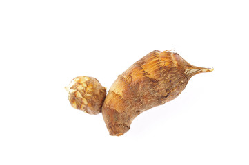 Taro on a white background