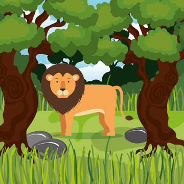 wild lion in the jungle scene vector illustration design