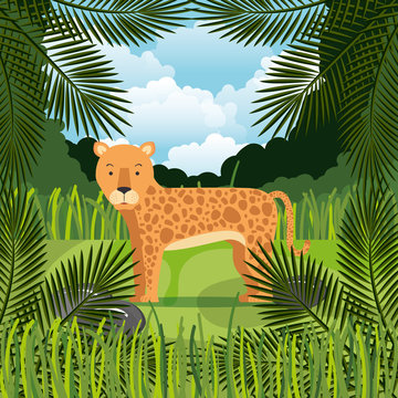 wild cheetah in the jungle scene vector illustration design