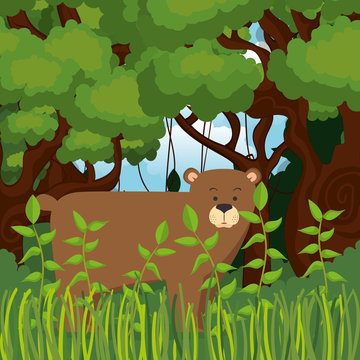 wild bear grizzly in the jungle scene vector illustration design