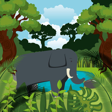 wild elephant in the jungle scene vector illustration design