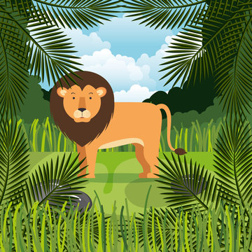 wild lion in the jungle scene vector illustration design
