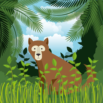 wild bear grizzly in the jungle scene vector illustration design