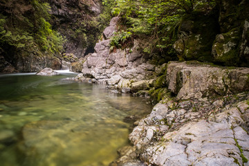 Fototapeta na wymiar rocky creek inside forest with clear water