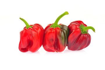 Isolated in the white background of green pepper