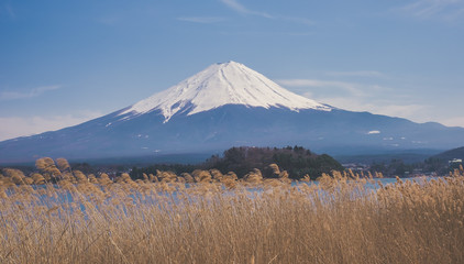 Fototapeta na wymiar Vue panoramique sur le Mont Fuji depuis un lac