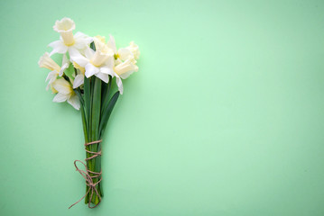 Bouquet of daffodils on a green background
