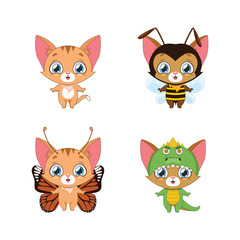 Little orange tabby and it's various animal costumes