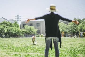 ゴールデンレトリバーと飼い主