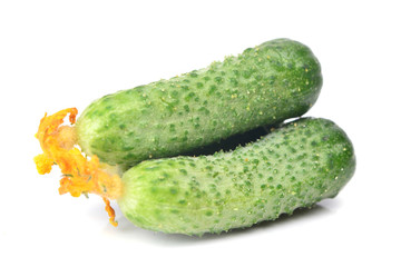 Fresh cucumber