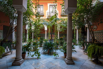 Fototapeta na wymiar beautiful Andalusian patio indoor