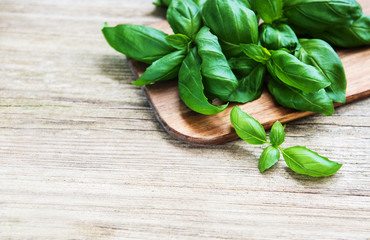 Fresh green basil