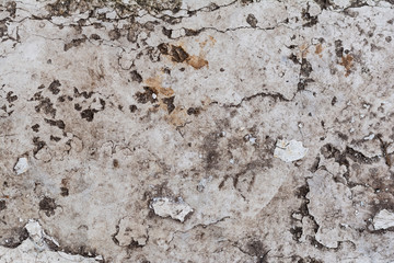 close-up view of old grey weathered wall textured background