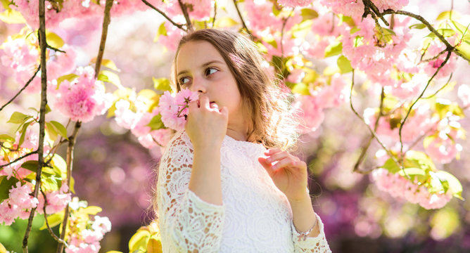 Girl on smiling face standing near sakura flowers, defocused. Girl with long hair outdoor, cherry blossom on background. Cute child enjoy aroma of sakura on spring day. Perfume and fragrance concept.