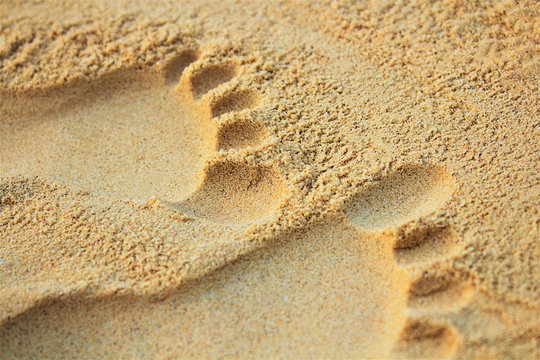 Sand on the beach or in the sandbox and footprints in the sand. Can be used as a background image to copy space.