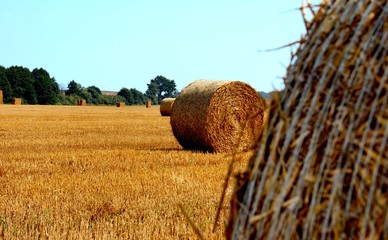 bale słomy 001 © Tomek