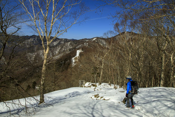 雲取山 七ツ石山 16
