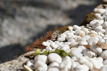 pebbles