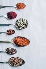 top view of colorful spices in spoons on white table © LIGHTFIELD STUDIOS