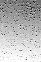 Drops of water with shadow on white background