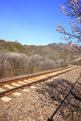 the train tracks
