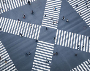 People walking on Crossing city street  crosswalk top view