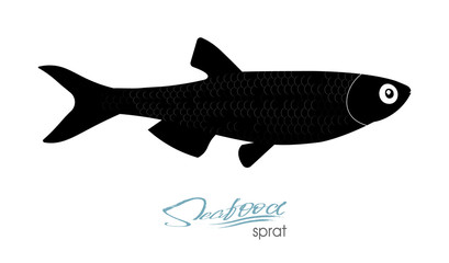 Sprat sketch vector fish icon. Isolated marine atlantic ocean sprats.