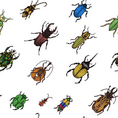 Sketch illustration of a vector bugs. Ornament with bugs.