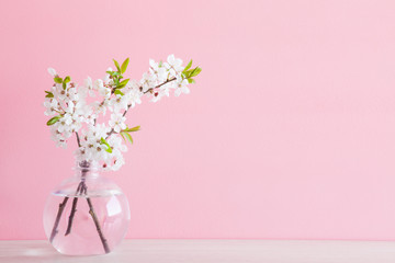 Fresh branches of cherry white blossoms in vase on table. Mockup for special offers as advertising or other ideas. Empty place for inspirational, motivational text or quote at soft pastel pink wall.