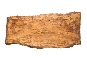 tree bark isolated on white background