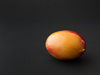 One mango fruit on the dark background. Minimalistic concept