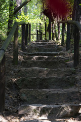 Stone stairs in mountain
