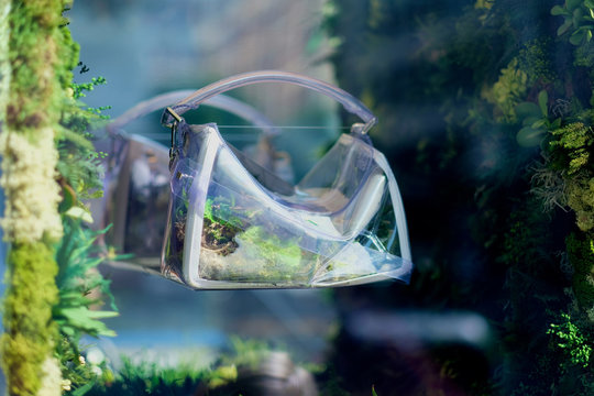 Plastic bag with green plants reflects on the mirror surface as a concept of modern art