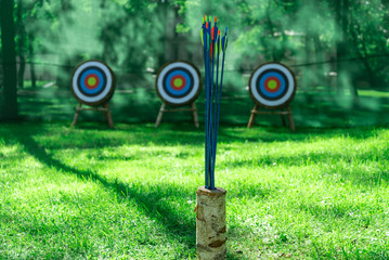 Ыhooting range, arrows and target