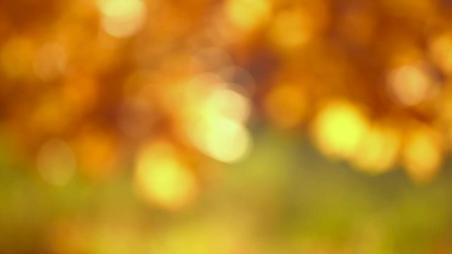 Autumn abstract blurred background. Fall. 3840X2160 4K UHD video footage