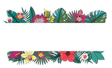Tropical vector design with exotic palm leaves, hibiscus, orchids flowers.
