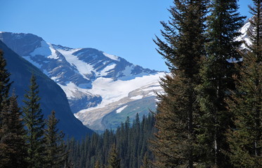 Glacier Nationalpark, Montana