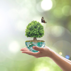 Saving environment and natural conservation concept with tree planing on green globe earth on...