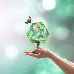 Waste recycle management, energy saving awareness, ecological sustainability and tree planting...
