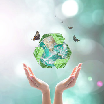 Waste recycle management, eco friendly concept: Elements of this image furnished by NASA
