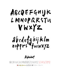 벡터 문자 / 손으로 쓴 글씨체