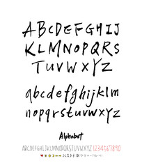 벡터 문자 / 손으로 쓴 글씨체