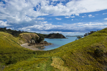 Fototapeta na wymiar Waiheke Island New Zealand