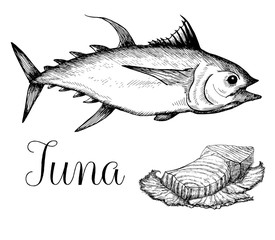 Hand drawn tuna