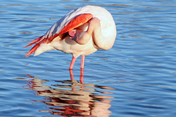 toilette au soleil